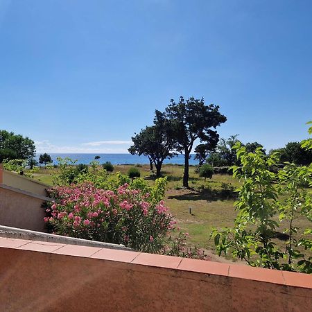 Pinea Mare Hotel Poggio Mezzana Ngoại thất bức ảnh